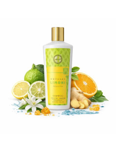armaf_odyssey_limoni_fresh_edition_eau_de_parfum_100_ml_+_body_spray_50_ml_+_shower_gel_100_ml_+_shampoo_250_ml_set_regalo_para_ 2