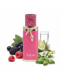 french_avenue_vulcan_baie_eau_de_parfum_unisex_100_ml_6298042000926_oferta 2