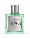 Rayhaan Palawan - Perfume Unisex Cítrico Amaderado - Eau de Parfum 100 ml Vaporizador
