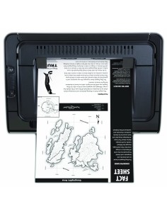HP LaserJet Pro P1102w - Impresora láser - B/N 18 PPM CE658A#B19 kiwiku.com 2