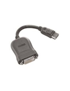 Lenovo 45J7915 - Cable DisplayPort a DVI-D, 20 cm 45J7915 kiwiku.com