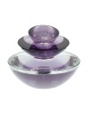 Insolence eau de parfum vaporizador 50 ml