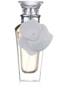 #3 en Top 20 Perfumes para Mujer de Adolfo dominguez Más Vendidos - Adolfo dominguez agua fresca de rosas blancas - agua de tocador vaporizador, 60 ml