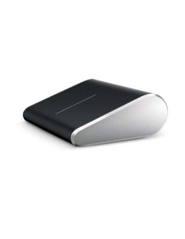 Raton wedge touch