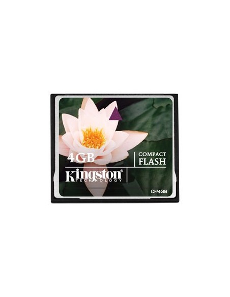 Kingston CF/4GB - Tarjeta de memoria CompactFlash estándar de 4 GB: Kingston: Kiwiku.com: Informática