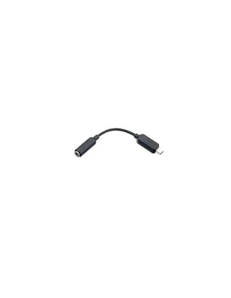 GoPro 3.5mm Mic Adaptor - Cable USB para GoPro Hero3, negro: GOPRO: Kiwiku.com: Electrónica