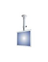 Newstar fpma-c025silver - soporte para pantalla plana para oficina