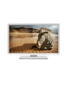 Hiba 32w1334g - televisor con retroiluminación led 32,hd ready, blanco
