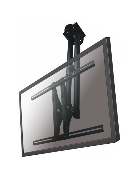 Newstar PLASMA-C100BLACK - Soporte de techo NewStar para TV negro PLASMA-C100BLACK