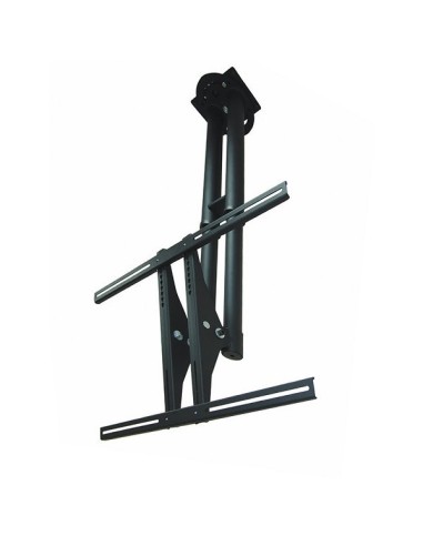 Newstar PLASMA-C100BLACK - Soporte de techo NewStar para TV negro PLASMA-C100BLACK