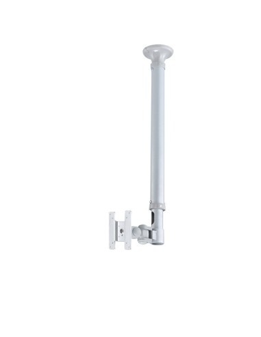 Newstar FPMA-C100SILVER - Soporte de techo NewStar para TV/monitor plata