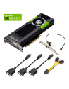 Pny  VCQP5000-PB - Tarjeta Gráfica PNY QUADRO P5000 16gb gdrr5x