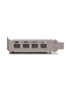 Tarjeta Gráfica Vga pny quadro p600dvi 2 gb gddr5 - VCQP600DVI-PB VCQP600DVI-PB kiwiku.com 2