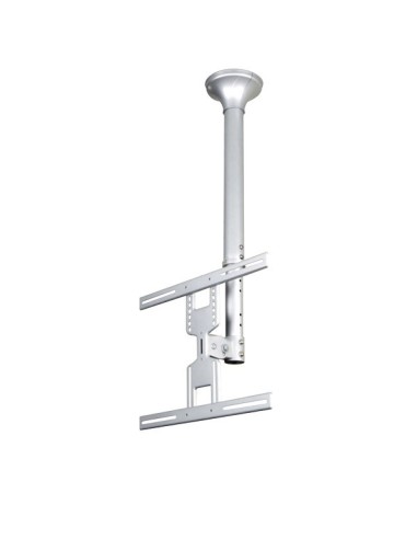 Comprar Soporte de techo NewStar para TV Plata Newstar FPMA-C400SILVER