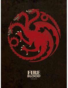 Cuadro canvas juego de tronos targaryen 30 x 40 MESH24110077 kiwiku.com