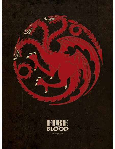 Cuadro canvas juego de tronos targaryen 30 x 40 MESH24110077 kiwiku.com