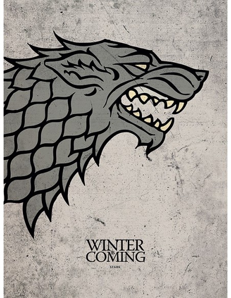 Cuadro canvas juego de tronos stark 30 x 40 MESH24110126 kiwiku.com