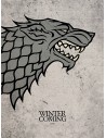 Cuadro canvas juego de tronos stark 30 x 40