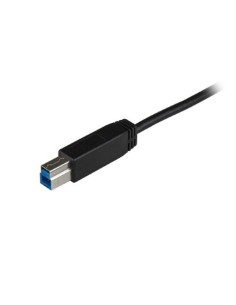 Cable USB Type-C de 1m - USB 3.1 USB-C a B - Startech.com  USB31CB1M kiwiku.com 2