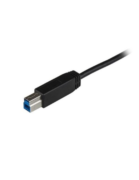 Cable USB Type-C de 1m - USB 3.1 USB-C a B - Startech.com  USB31CB1M kiwiku.com