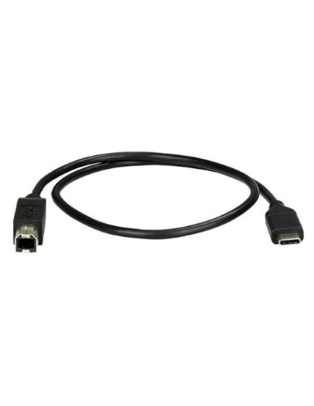 Cable de 50cm USB-C a USB-B de Impresora - Cable Adaptador USB Tipo C a USB B - Startech.com USB2CB50CM kiwiku.com