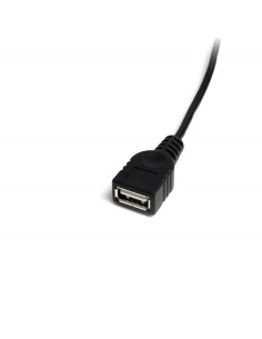 Cable Mini USB 2.0 (30 cm) - USB A a Mini B H/M USBMUSBFM1 kiwiku.com 2