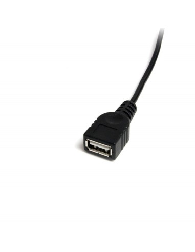 Cable Mini USB 2.0 (30 cm) - USB A a Mini B H/M USBMUSBFM1 kiwiku.com