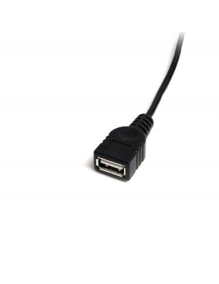 Cable Mini USB 2.0 (30 cm) - USB A a Mini B H/M USBMUSBFM1 kiwiku.com