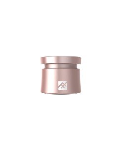 iFrogz Coda - Altavoz Bluetooth con micrófono, Color Oro y Rosa IFOPBS-RG0 kiwiku.com 2