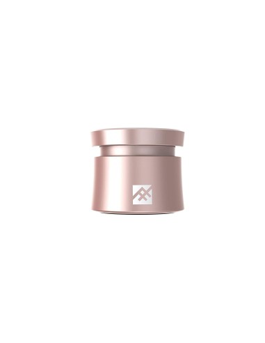 iFrogz Coda - Altavoz Bluetooth con micrófono, Color Oro y Rosa IFOPBS-RG0 kiwiku.com