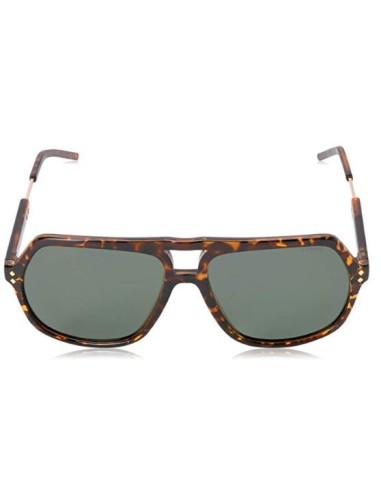 Polaroid PLD2035S NHO - Gafas de sol Marrón TALLA ÚNICA Hombre PLD2035S_NHO kiwiku.com