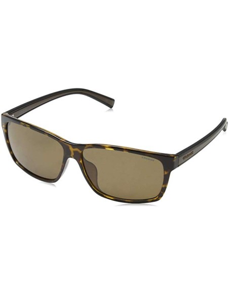 Polaroid PLD2027FS M31IG - Gafas de sol Marrón TALLA ÚNICA Hombre PLD2027FS_M31IG kiwiku.com