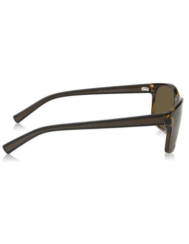Polaroid PLD2027FS M31IG - Gafas de sol Marrón TALLA ÚNICA Hombre PLD2027FS_M31IG kiwiku.com