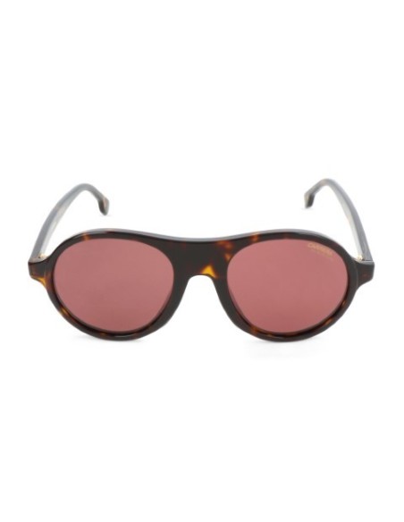 Carrera 142S 086R - Gafas de sol Marrón TALLA ÚNICA Hombre 142S_086R kiwiku.com