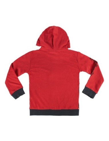 Sudadera lady bug, Color Rojo 2200002320 kiwiku.com