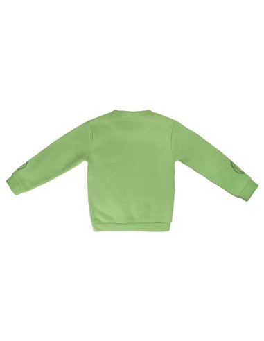 Sudadera avengers hulk, Color Verde 2200003179 kiwiku.com