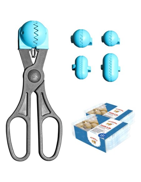 La croquetera pack - 4 moldes para masas + 40 bandejas conservaciÓn - turquesa 53215 kiwiku.com