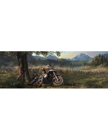 Juego para consola sony ps4 Days Gone, Edición Especial - PEGI 18 - 711719985495 kiwiku.com