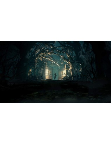 Juego para consola sony ps4 Call of Cthulhu- PEGI 18 -1030301 kiwiku.com