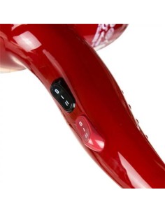 Oferta Italian Design Sesador GTI 2600 Force Plus Rojo 2200W 2