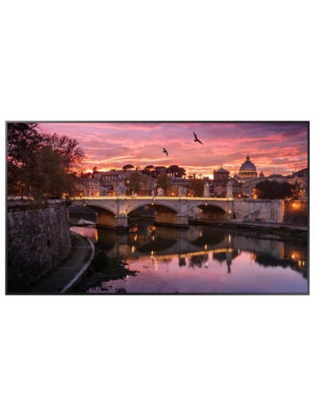Oportunidad Monitor Samsung LH43QBREBGCXEN digital 43" | kiwiku