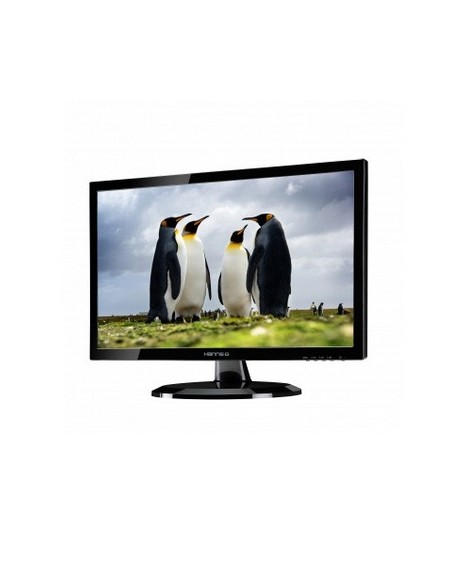 Ofertón Monitor 23.6" Vga Dvi Hanns-g HL249DPB Color Negro | kiwiku