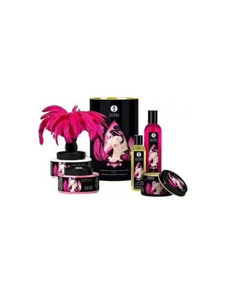Oferta - Shunga touch of romance. 109720