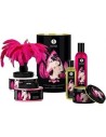 Shunga touch of romance