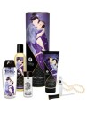 Shunga colección placeres carnales