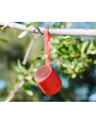 Sony Srs-Xb12 Rojo Altavoz InalÁMbrico Compacto Bluetooth