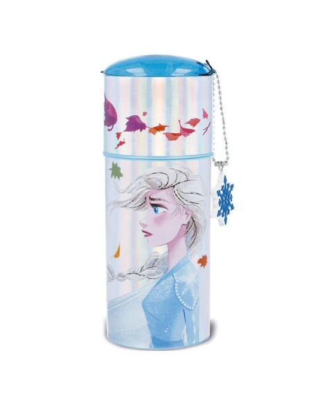 Oportunidad STOR  Cantimplora frozen 2 disney 350ml