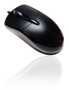 GigaByte GM-M3600 - Ratón óptico con cable 800 ppp color negro