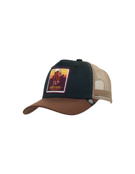 Comprar THE INDIAN FACE 66567 Gorra the indian face born to skate azul y marrÓn
