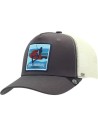 Gorra the indian face born to wakeboard gris y blanco